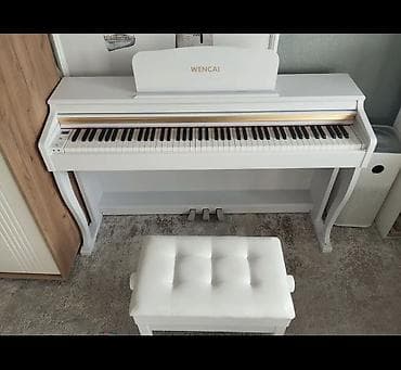 русский 3 класс: Полноактавное акустическое пианино, вы получите вместе с банкеткой — 4