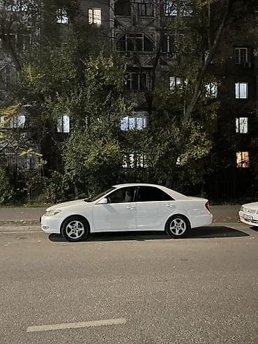 Toyota Camry: 2002 г., Автомат, Бензин, Седан