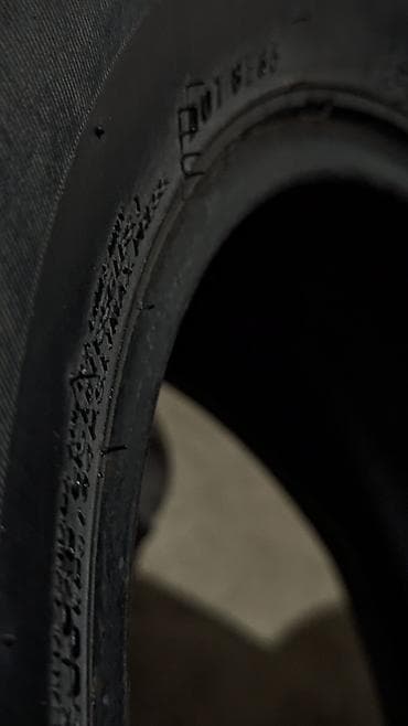 Шиналар 205 / 65 / R 14, Жай, Колдонулган, Жеңил унаалар, Корея, Nexen — 4