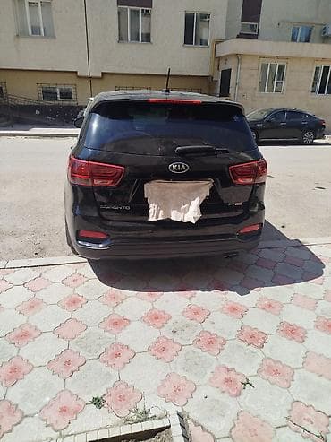 e500 124: Kia Sorento: 2020 г., 2.4 л, Автомат, Бензин, Кроссовер — 9