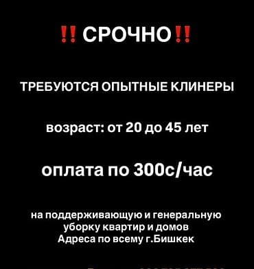 чистка квартир: Требуется Уборщик, Квартира — 1