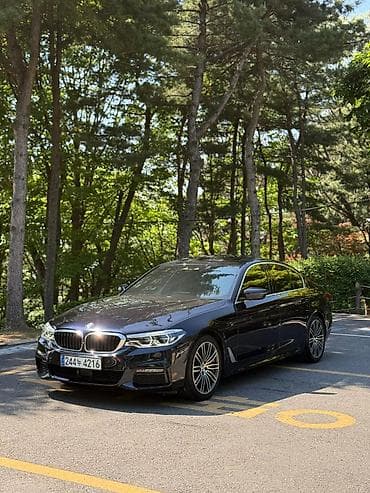 BMW: BMW 530: 2019 г., 2 л, Автомат, Бензин, Седан — 2