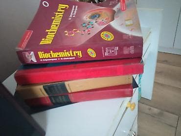 Дарыгерлер: Дарыгер — 5