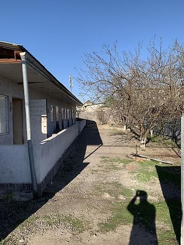 земельный участок алтын ордо: 5 соток, Для строительства, Красная книга — 1