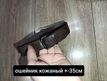 мышка ош: Продаю б/у амуницию для собак мелких и средних пород. оптом - 1350 — 8