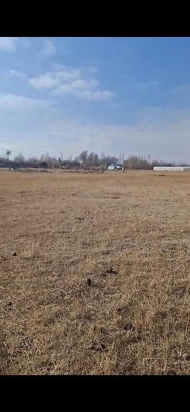 участок поле чудес: 10 соток, Для сельского хозяйства, Договор купли-продажи — 6