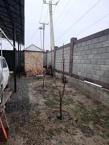 сдаю павильион: Продаётся кирпичный дом с большим участком и капитальным ограждением — 5