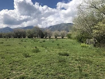 с нижняя ала арча: 50 соток, Для сельского хозяйства, Красная книга — 9