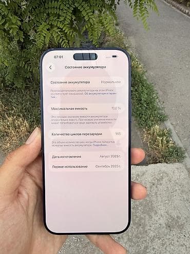 iphone 12 256: IPhone 17 Pro Max, Б/у, 256 ГБ, Синий, Защитное стекло, 100 % — 5