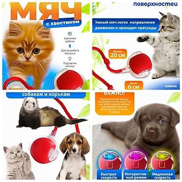 валер для собак: Продаю шлейки для крупных,средних и мелких пород собак по разным — 4