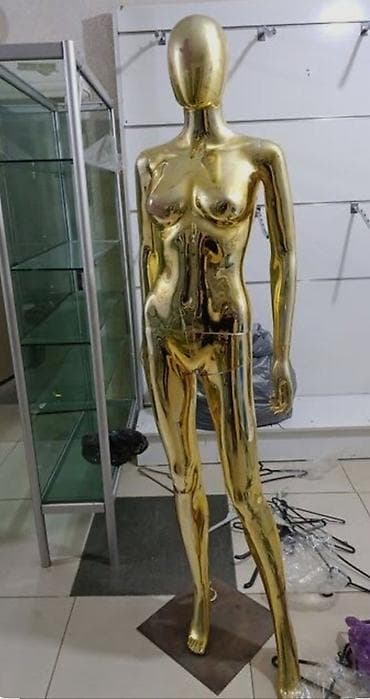 с бизнесом: Манекен Взрослый женский, Б/у — 1