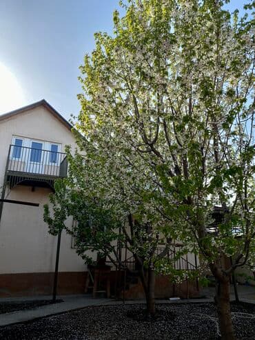 рухий мурас дома: Дом, 110 м², 3 комнаты, Собственник, Евроремонт — 7