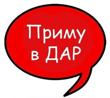 вещи для женщин: Детский Кийимдер 4.5 жашка болсо мага бергилечи уул бала Жана Кыз — 1