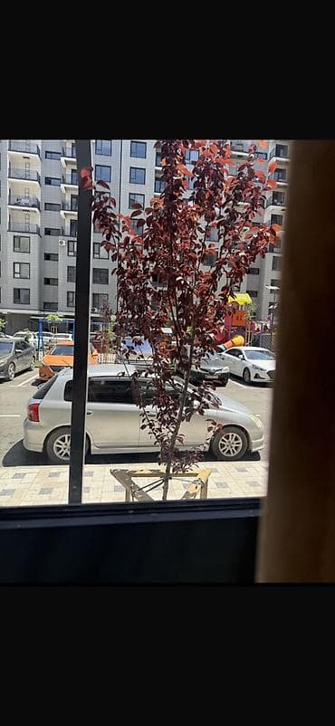 Недвижимость: 1 комната, 42 м², Технопарк Элитка, 1 этаж, Дизайнерский ремонт — 7