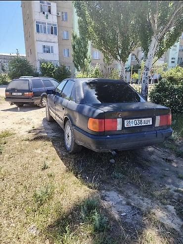 ош жапалак: Audi 100: 1991 г., Седан — 10