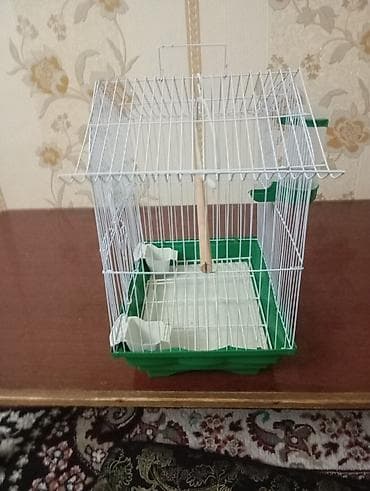 кошки продаются: Клетка для попугаи и канарейки — 4