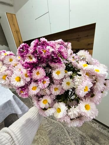 инструмент для огорода: Пышные осенние хризантемы (садовые, мелкоцветковые, «ромашковые») в — 1