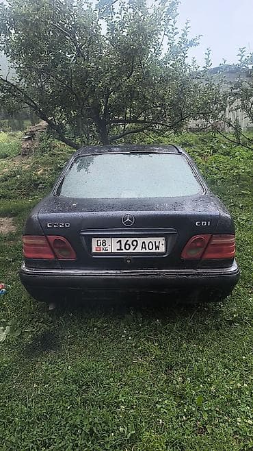 Mercedes-Benz E-Class: 1995 г., 2.5 л, Кол менен иштөөчү, Дизель, Седан — 3