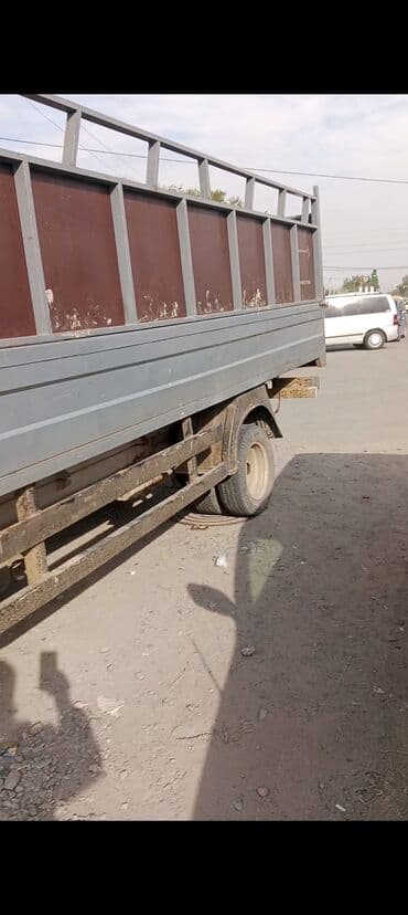 Собаки: Продаю | Коза (самка) — 9