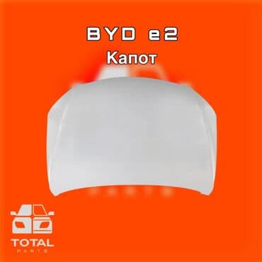 Капот BYD, Аналог