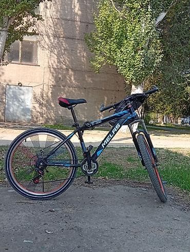 vauxhall senator: Горный велосипед, Рама L (172 - 185 см), Сталь — 2