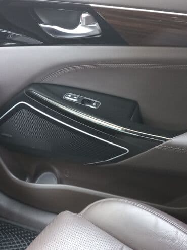 боковое зеркало рекс: Kia K7: 2019 г., 2.4 л, Автомат, Бензин, Седан — 14