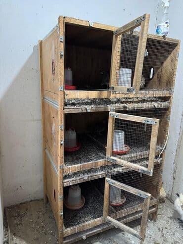 будка собаки: Продается клетка — 1