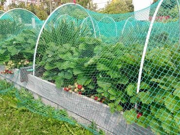 сетка для агарода: Декор для дома и сада — 19