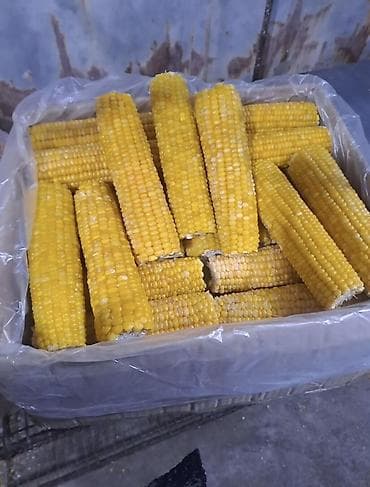 Вареный кукуруза свежий Можно оптом и в розницу - Цельные
