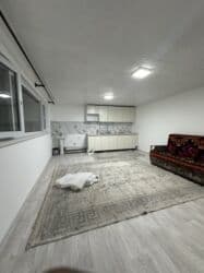 дом в аренду: 24 м², С мебелью — 4