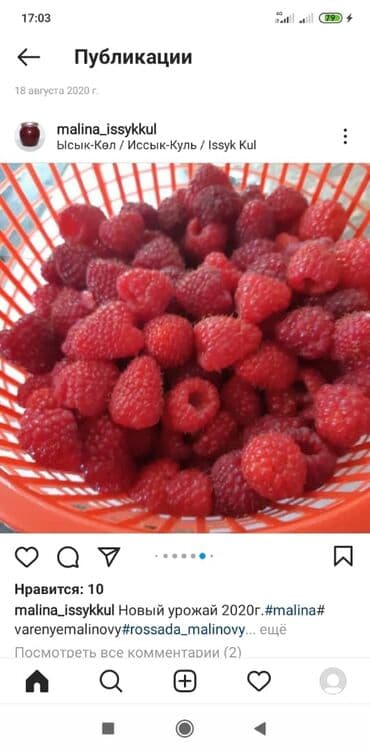 печь для отопления дома бишкек: Малинанын кочоттору сатылат!!! Сорт: Полька(ремонтантная). Кочоттор — 10