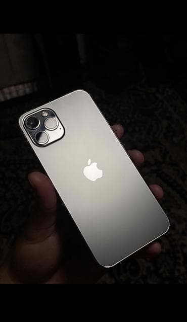 робот полисос: IPhone 12 Pro, Б/у, 256 ГБ, Серебристый, Чехол, 74 % — 1