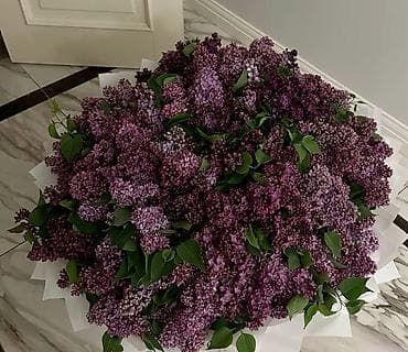 куплю корзины: Пышные корзины с сиренью - Состав: свежесрезанная садовая сирень — 5