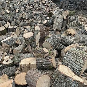 Все для дома и сада: Дрова Карагач, Платная доставка — 1