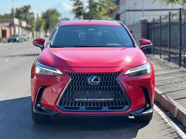 Суу транспорту: Lexus NX: 2022 г., Автомат, Бензин, Кроссовер — 3