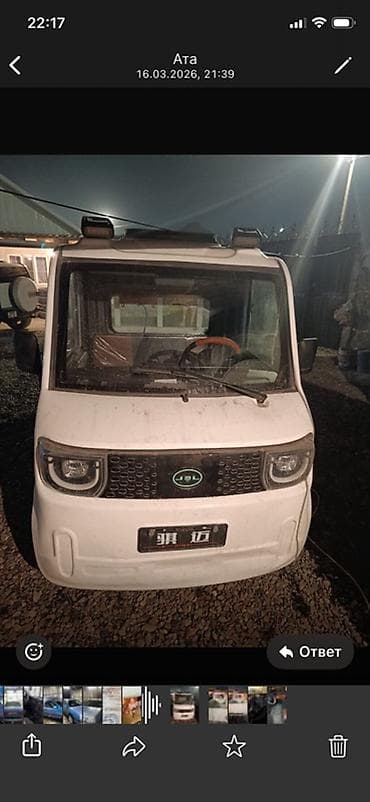 электро баги: Легкий грузовик, Стандарт — 4