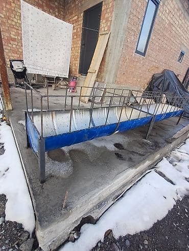 Животные: Торпокторго аштоо акыр 16 баш батат. доставка бар сокулук беловодск — 1