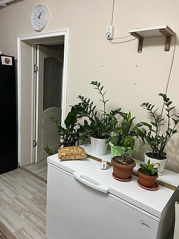 4: Продается дом с участком в отличной локации Район — 2