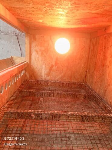 живые бабочки: Клетка/брудер для перепелов (многоярусная секция) - Материал: каркас — 2