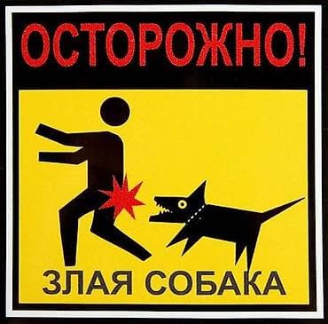 женский вещи: Защита — 1