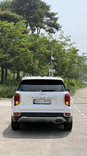 корейский опалобки: Hyundai Palisade: 2020 г., 2.2 л, Автомат, Дизель, Кроссовер — 5