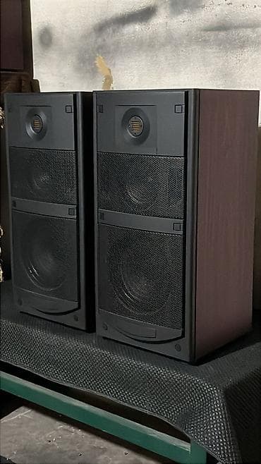 leather case: Акустическая система напольная, пара Вега - Тип: пассивные напольные — 4