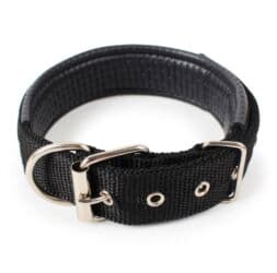 ошейник для собак бишкек: Продаю новые строгие ошейники в двух моделях,а так же большой выбор — 5