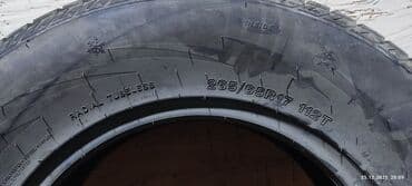 diska 14: Шины 265 / 65 / R 17, Зима, Новый, 1 шт, Внедорожные (АТ/МТ), Sailun — 4