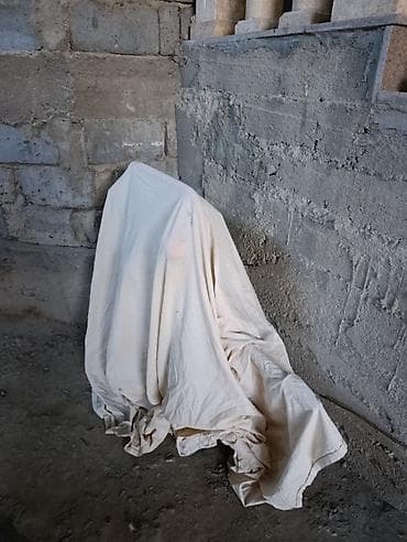 апарат дойный: Продаю в идеальном состоянии турецкий доильный аппарат для — 8