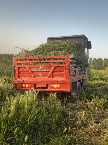 трехколесные скутеры: Жеңил жүк ташуучу унаа, Стандарт — 13