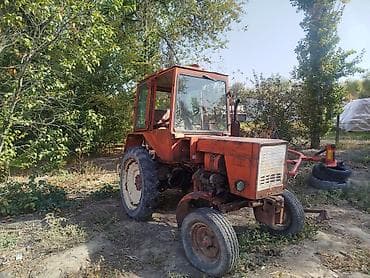 беларусь трактор: Продаю т25 в хорошем состоянии!! комплект плуг картошка копалка и — 1