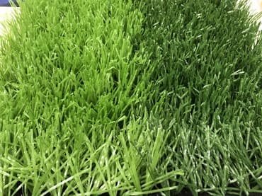 газон для футбольного поля: Искуственный газон для футбола итальянский limonta max ss, ms ms d — 5