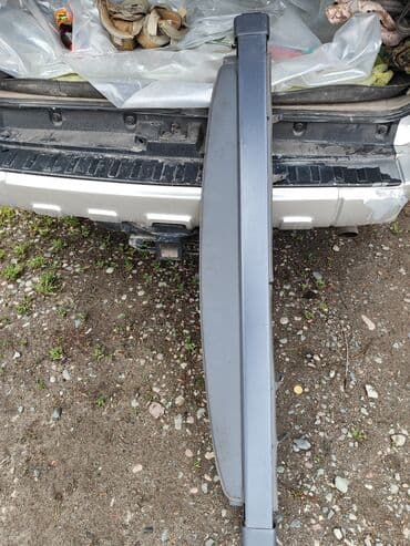 corolla runx: Шторка от тоета ипсум — 1