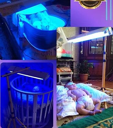 Градусники, тепловизоры: Сдаем фотолампу в аренду500 сом.Без паспорта аппарат не даем в — 1